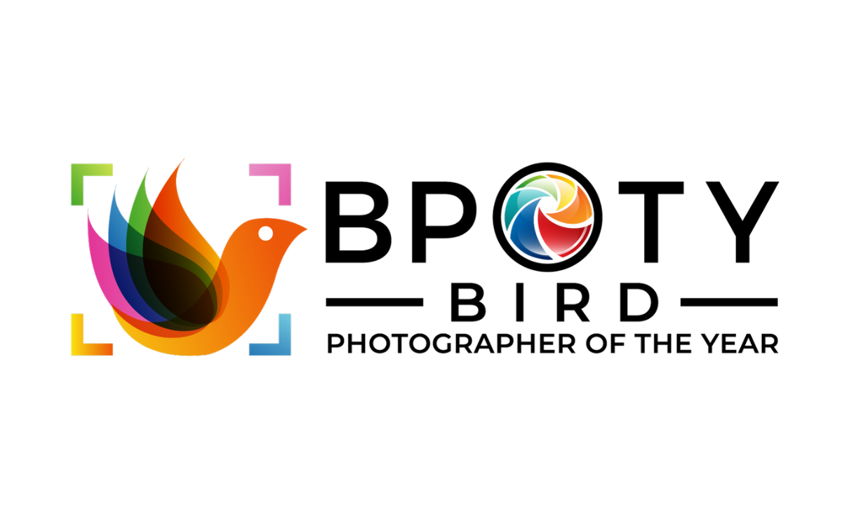 年度鳥類攝影師 2025 Bird Photographer Of The Year 2024 獎金獵人