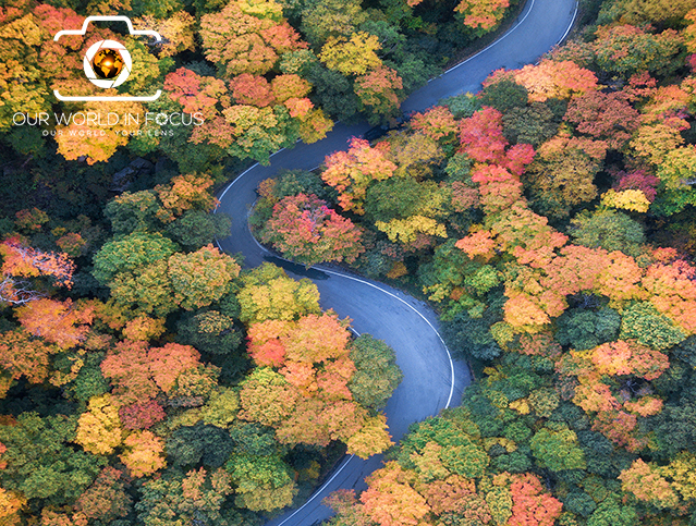 Fall Color Contest 2019 Fall Colors Photo Contest | Our World In Focus - BountyHunter