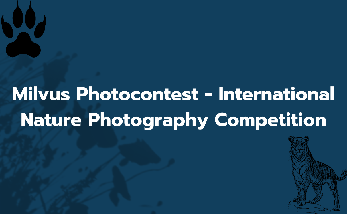 2024 Milvus Photocontest International Nature Photography Competition